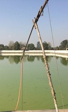 Siddha Pokhari-巴克塔普尔