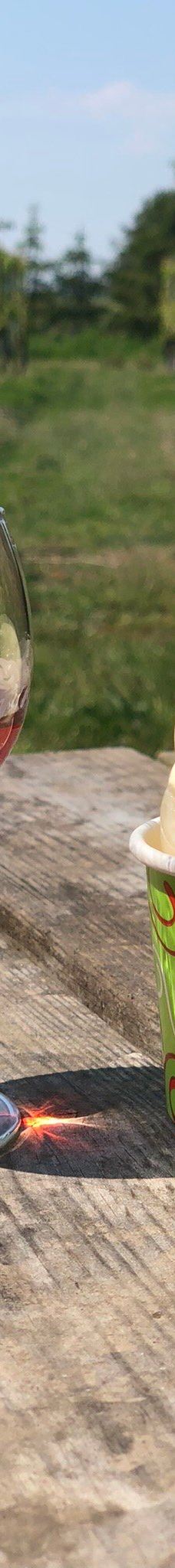 Vingaarden, Lille Gadegaard ( Vineyard )-阿克尔科拜