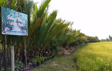 Ladang Nipah Kipli餐厅图片