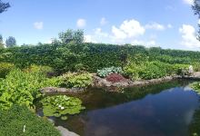 Gash Gardens景点图片