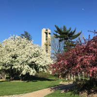 斯普林菲尔德图片