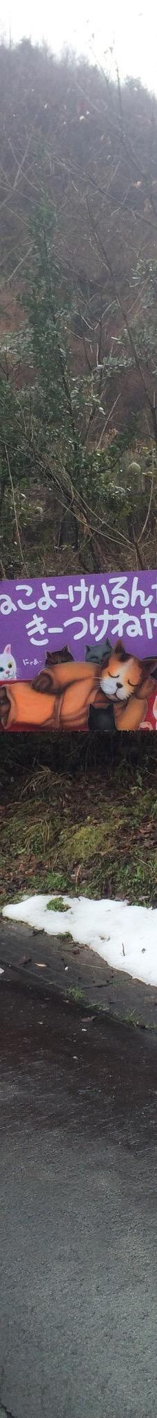 Gotanjoji Temple-越前市