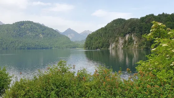 Schwansee