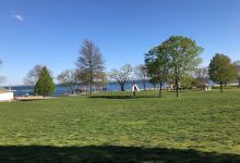 Rye Town Park景点图片