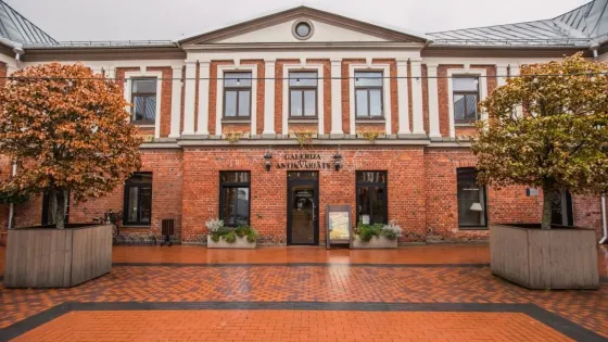 Galerija Romas darzs