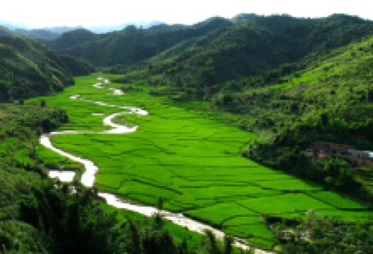 Green Discovery景点图片