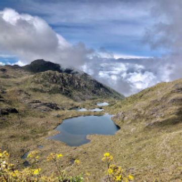 圣伊西德罗埃尔杰讷拉图片