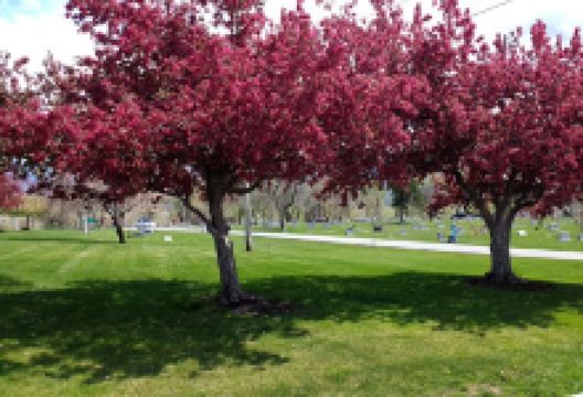 West Jordan City Cemetery景点图片