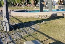 Plazoleta España | Fuente de los Españoles景点图片