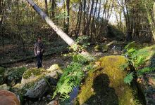 Torrent del Puig景点图片