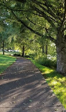 Waverly Park Parking-奥尔巴尼