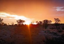 Upington Landbou Expo, Karavaan Park景点图片