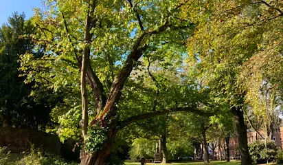 Kurkolnische Landesburg