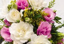 FLORA购物图片