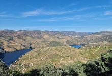 Miradouro de Vargelas景点图片