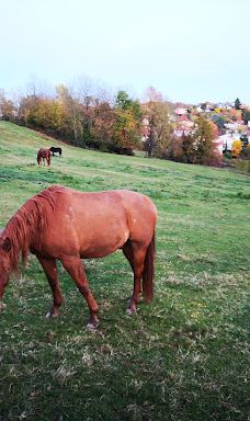Schloss Lustbühel, Graz-格拉茨