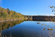 Bear Creek Trail System景点图片