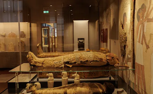 MAEC - Museo dell'Accademia Etrusca