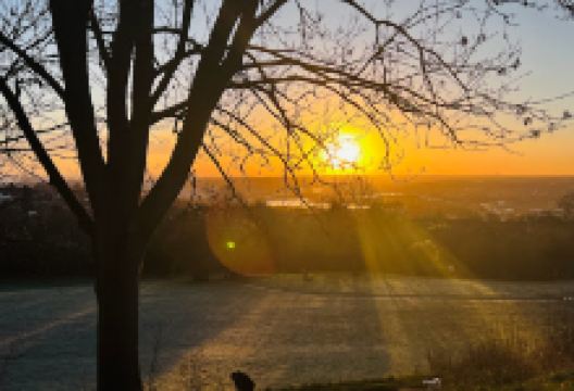 Broomhill Park景点图片