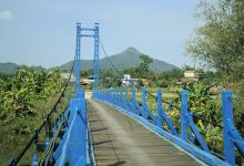 Nature reserve Dong Son - Ky Thuong景点图片