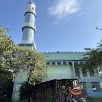 阿尔巴门奇图片