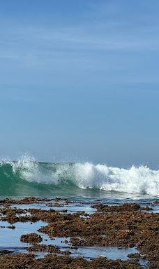 Turtle Beach-塔勒佩