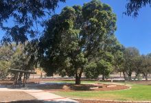 Edgar Griffith Park景点图片