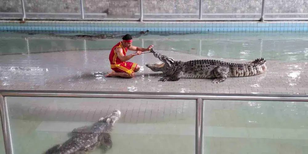 永安旅遊