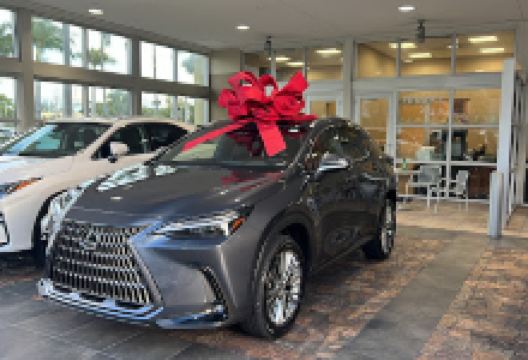 Lexus of North Miami景点图片