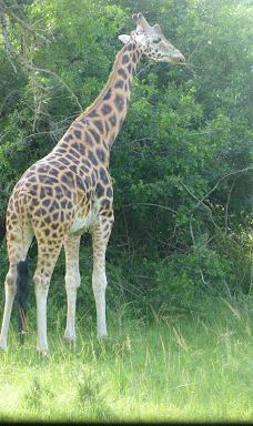 Adventure Africa Expedition-内罗毕