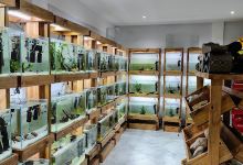 AQUARIUM FISH ARGENTINA景点图片