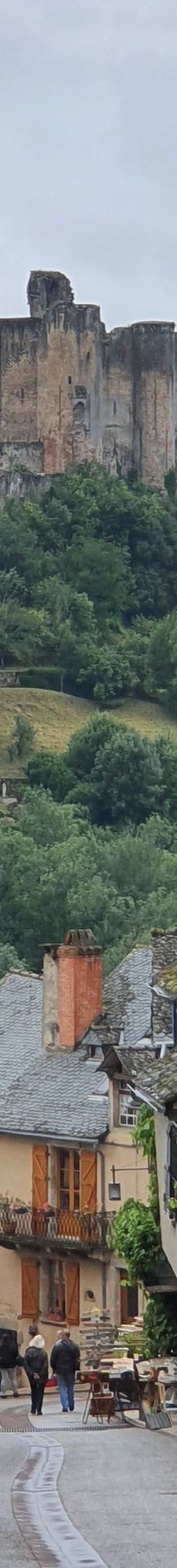 Najac Castle-纳雅克