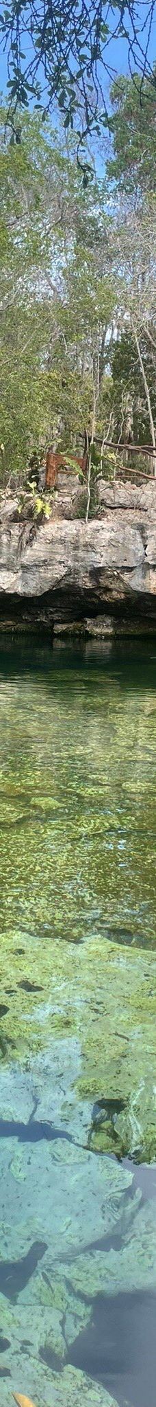 Cenote Azul-索里达瑞达德