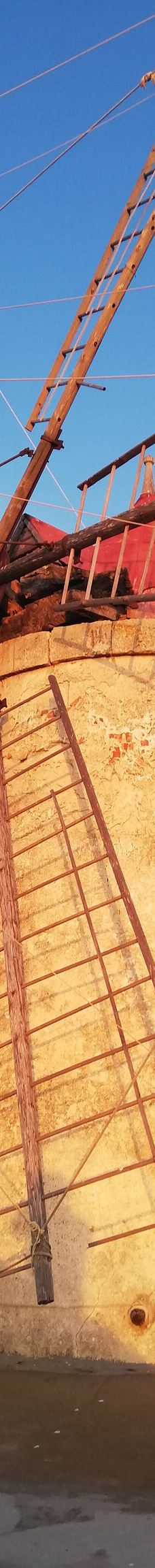 Salt Museum-特拉帕尼省