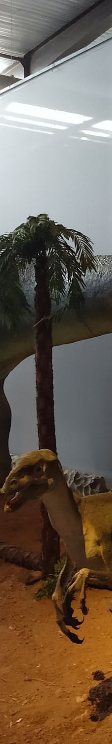 Musee des Dinosaures 'Dinosauria'-埃斯佩拉扎