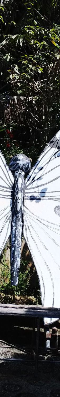 琉宫城蝴蝶园-本部町