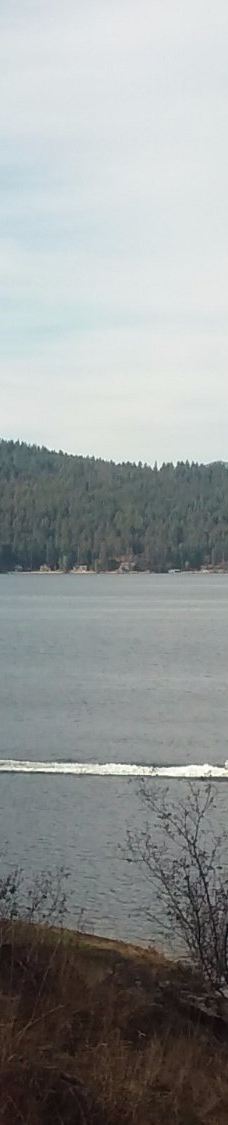 Tubbs Hill-科达伦