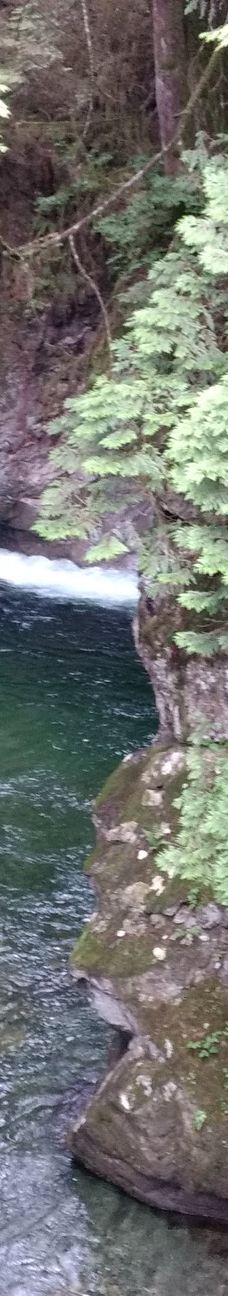 林恩峡谷公园-北温哥华