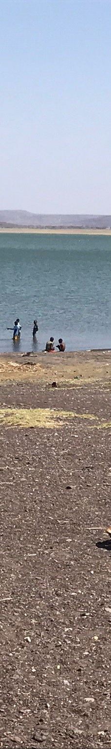 图尔卡纳湖国家公园-姆特瓦帕