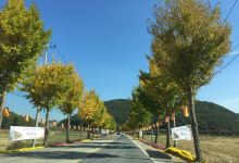 传统辣椒酱民俗村景点图片