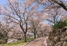 Osaki Kujakuen景点图片