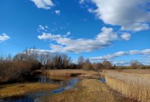RSPB Fowlmere Nature Reserve景点图片