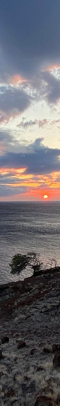 Papawai Scenic Lookout-茂宜县