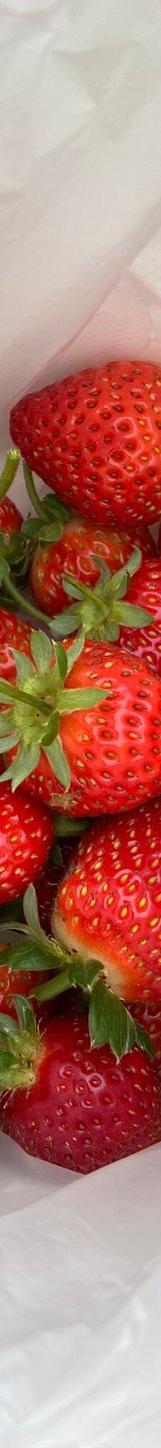 Ricardoes Tomatoes-Blackmans Point
