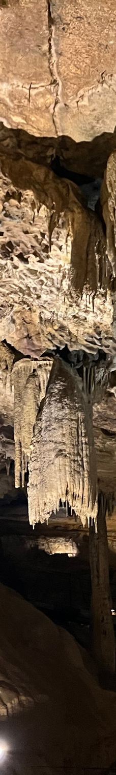 Grottes de Betharram-圣佩德比戈尔