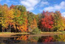 Reinstein Woods Nature Preserve景点图片