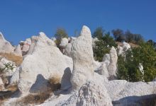 The Petrified Wedding景点图片