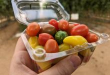 The Salad Trail景点图片