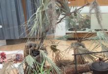 Englewood Area Historical Museum景点图片