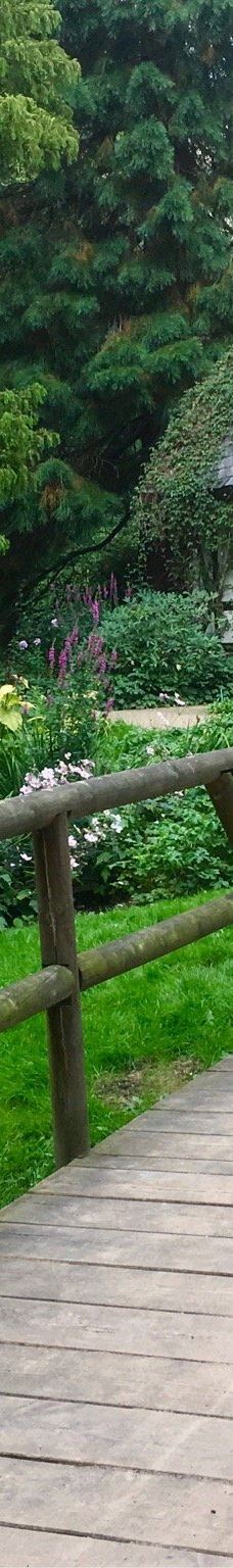 Alter Botanischer Garten-基尔